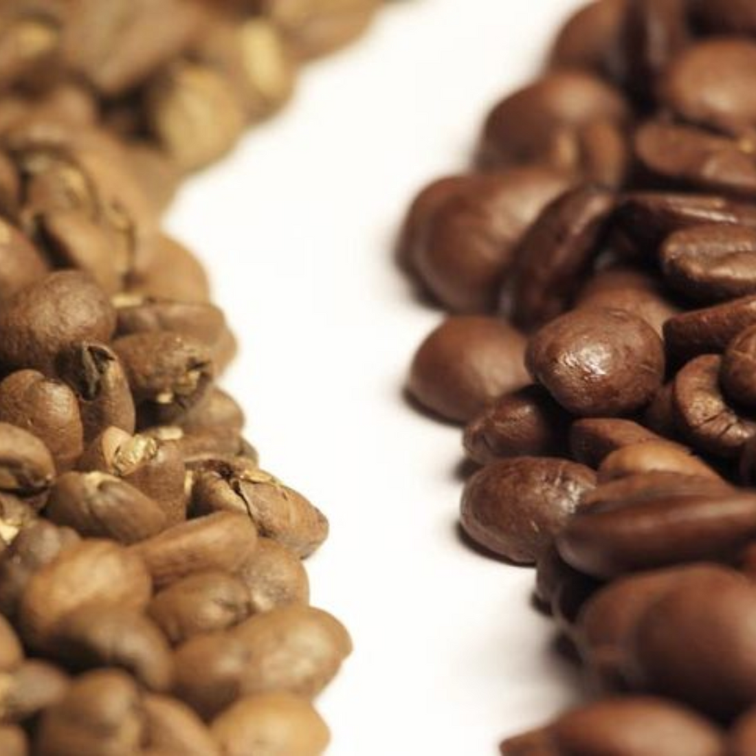 Le miscele: Caffè Arabica e Caffè Robusta